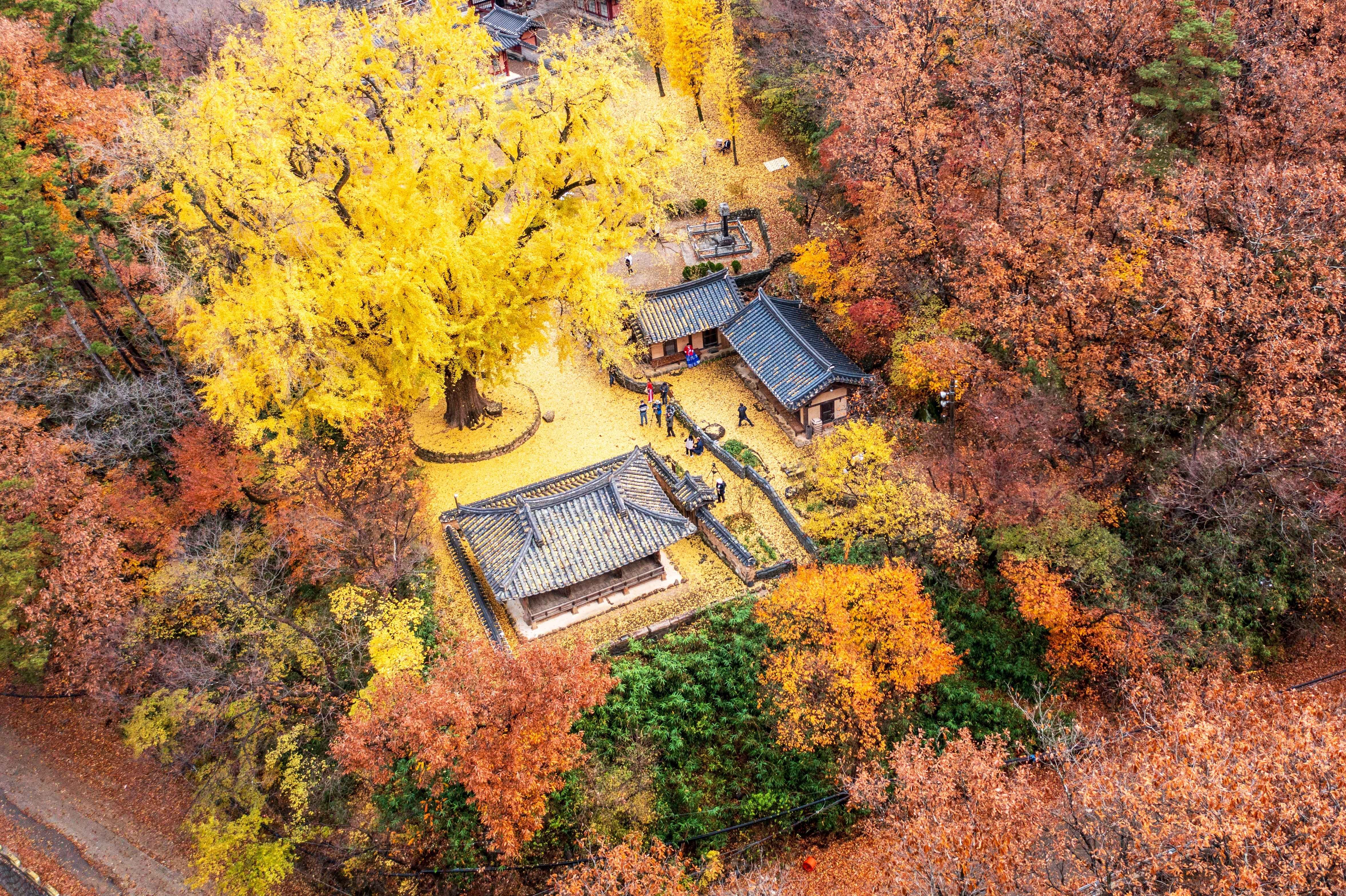 Gyeongju gallery 9
